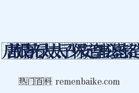 唐故银青光禄大夫太子少保安定皇甫公墓志铭造句是什么意思的图片